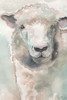 Muted Lamb Poster Print by Elizabeth Medley - Item # VARPDX12488F