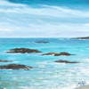 Rocky Shore I Poster Print by Julie DeRice - Item # VARPDX12505