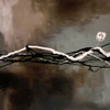 Syncopation I Poster Print by Laurie Maitland - Item # VARPDX12214
