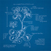 Blueprints 1 Poster Print by Inc. Nobleworks - Item # VARPDXNOB114