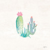 Bohemian Cactus V Poster Print by Mary Urban - Item # VARPDX46235