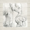 Sketchy Mother and Baby Elephant Poster Print by Carol Robinson - Item # VARPDX18945