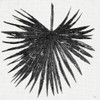 Dark Leaf Palm I Poster Print by Patricia Pinto - Item # VARPDX11937H