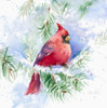 Cardinal in Snowy Tree Poster Print by Lanie Loreth - Item # VARPDX12789