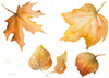 Tawny Autumn Leaves Poster Print by Lanie Loreth - Item # VARPDX12198