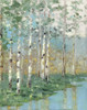 Birch Poster Print by Sally Swatland - Item # VARPDX19855