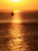 Sailboat at Sunset I Poster Print by Kathy Mansfield - Item # VARPDX8954AA