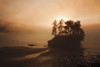 Last Light Poster Print by Laura Marshall - Item # VARPDX42970