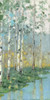 Birch Poster Print by Sally Swatland - Item # VARPDX40020