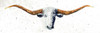 Longhorn Poster Print by Marvin Pelkey - Item # VARPDXPOD60579