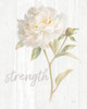 Garden Peony on Wood Strength Poster Print by Danhui Nai - Item # VARPDX37140