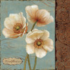 Windflower II Poster Print by Daphne Brissonnet - Item # VARPDX1205