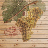 Grapes B Poster Print by Inc. Nobleworks - Item # VARPDXNOB186