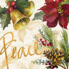 Christmas Poinsettia II Poster Print by Lanie Loreth - Item # VARPDX11535A