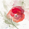 Translucent Poppy II Poster Print by Lanie Loreth - Item # VARPDX12335