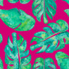 Aqua Leaves On Pink Poster Print by Kat Papa - Item # VARPDX11571AK