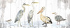 Birds of the Coast Rustic Panel Poster Print by Tara Reed - Item # VARPDXRB13048TR