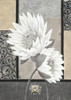 White Waterlily Poster Print by Claudia Ancilotti - Item # VARPDX11312