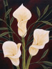 Botanical Elegance II Poster Print by Yvette St. Amant - Item # VARPDX12338