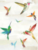 Humming I Poster Print by Aimee Wilson - Item # VARPDXWL236A
