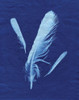 Indigo Feather II Poster Print by Monika Burkhart - Item # VARPDXPSBHT467