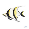 Fish V Poster Print by Julie DeRice - Item # VARPDX12505F