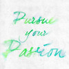 Pursue your Passion Poster Print by SD Graphics Studio - Item # VARPDX10165F
