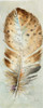 Watercolor Feather III Poster Print by Patricia Pinto - Item # VARPDX11051A