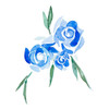 Blue Roses Poster Print by B. Danelle - Item # VARPDX13629