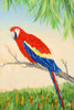 Tropic Bird in Paradise I Poster Print by Julie DeRice - Item # VARPDX10906D
