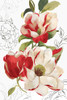 Florecer III Poster Print by Asia Jensen - Item # VARPDXJN262A