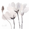 Tonal Magnolias III Poster Print by Lanie Loreth - Item # VARPDX11065A