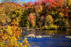 Autumn by the River I Poster Print by Alan Hausenflock - Item # VARPDXPSHSF2304