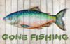 Watercolor Fish on Wood I Poster Print by Patricia Pinto - Item # VARPDX11410C