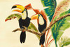 Tropical Toucans I Poster Print by Linda Baliko - Item # VARPDX10162A