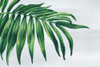 Tropical Leaf I Poster Print by Eva Watts