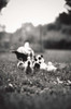 Ducklings Poster Print by Kelly Poynter - Item # VARPDX10489M