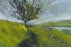 Cambrian Hawthorne Poster Print by Paul Bailey