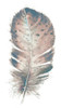 Pastel Feather I Poster Print by Patricia Pinto - Item # VARPDX11051AH