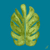 Leaf On Teal I Poster Print by Kat Papa - Item # VARPDX11571AE