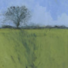 Fenland Morning Poster Print by Paul Bailey - Item # VARPDXB3592D