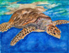 Turtle at Sea Poster Print by Jan Odum - Item # VARPDX13550