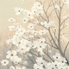 Dogwood Blossoms II Neutral Poster Print by James Wiens - Item # VARPDX41473