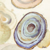 Agates Flying Square II Poster Print by Patricia Pinto - Item # VARPDX11987D