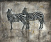 Zebras Poster Print by Marta Wiley - Item # VARPDXW973D
