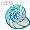 Ocean Shell Poster Print by Lanie Loreth - Item # VARPDX10195C