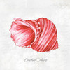 Red Seashell Poster Print by Eva Watts - Item # VARPDXEW136A
