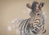 Sandstone Zebra Poster Print by Patricia Pinto - Item # VARPDX11991L