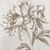 Glorious Peony II Poster Print by Eva Watts - Item # VARPDXEW157A