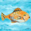 Fish Underwater II Poster Print by Julie DeRice - Item # VARPDX10749